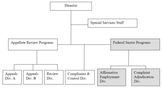 oig-report-2008-org-chart