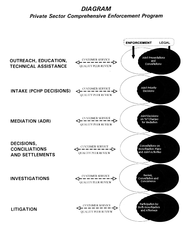 Private sector comprehensive enforcement program diagram -
description in text above