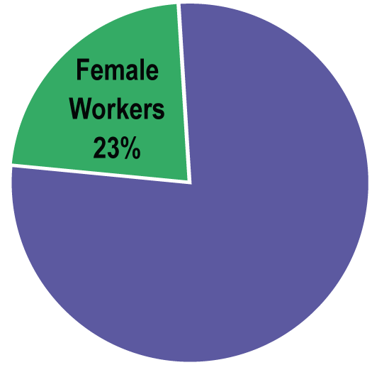 Pie chart - Female workers 22%