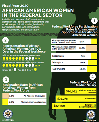 African American Women in the Federal Sector PDF